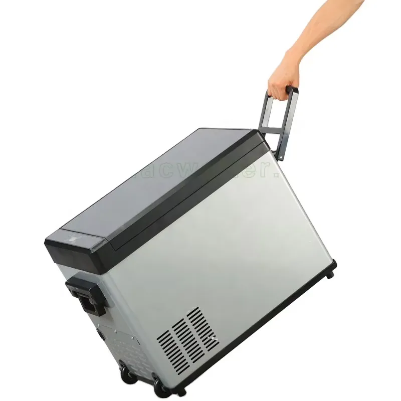 Wine Beer Mini Fridge - Frigorifero portatile elettrico da 40L con